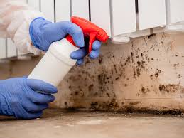 Best Real Estate Mold Inspection  in Muse, PA